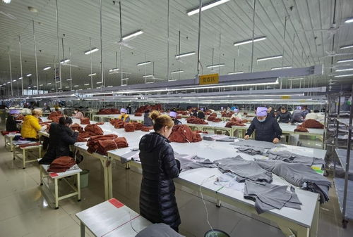 立足產(chǎn)業(yè)優(yōu)勢，穩(wěn)步推進紡織技術(shù)開發(fā)——寧夏靈武市高質(zhì)量建設(shè)現(xiàn)代紡織先行區(qū)