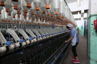 紡織廠如何精準(zhǔn)開(kāi)拓客戶并推動(dòng)紡織技術(shù)開(kāi)發(fā)